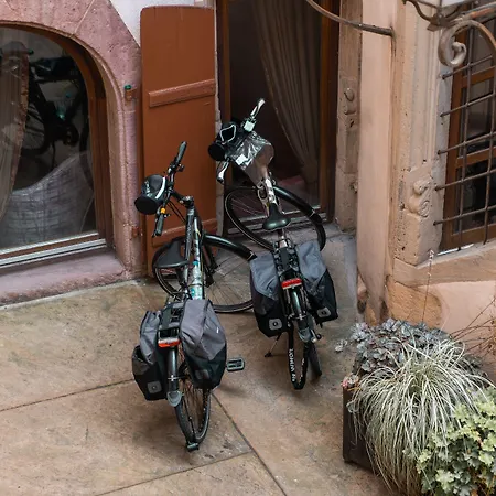 Saint-martin 호텔 3*